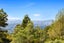 892 West Coast Road, Waiatarua, Auckland - Carousel 21