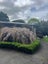 223D Apotu Road, Kamo - Carousel 6