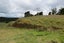 123 Te Ahu Ahu Road, Ohaeawai, Kaikohe - Carousel 13