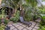 23 Paget Street, Freemans Bay, Auckland - Carousel 19
