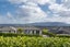 5 Holyoake Terrace, Omokoroa, Omokoroa - Carousel 31
