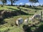 6B Gresham Street, Geraldine, Geraldine - Carousel 4
