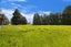 7041 Makotuku Valley Rd (State Highway, 4), TOHUNGA JUNCTION - Carousel 32