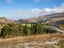 0 Wright Road, Roxburgh East, Roxburgh - Carousel 7