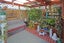 520A Kennedy Road, Greenmeadows, Napier - Carousel 4