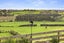 214C Maioro Road, Otaua, Waiuku - Carousel 23