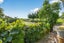 45 Brown Road, Hakaru - Carousel 19