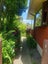 1 Lorraine Place, Glenview, Hamilton - Carousel 15
