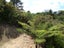 10 Aldersgate Road, Hillsborough, Auckland - Carousel 12