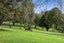 2G/1 Ophir Street, Newton, Auckland - Carousel 17