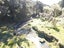 6340 Route 52, Dannevirke - Carousel 11