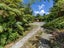 725 Taylorville Road, Taylorville, Greymouth - Carousel 16