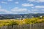 37 Tuna Terrace, Titahi Bay, Porirua - Carousel 20