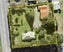 151 Fred Taylor Drive, Whenuapai, Auckland - Carousel 26