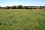 86 Johns Road, Tariki, Stratford - Carousel 4