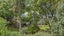 247 Millers Road, Gebbies Valley, Christchurch - Carousel 28