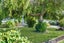 74 Alexander Avenue, Onekawa, Napier - Carousel 21