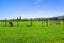 71 Waiwhero Road, Lower Moutere, Upper Moutere - Carousel 36