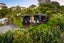 110 Schollum Road, Warkworth - Carousel 28
