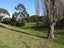81 Maudes Road, Deborah - Carousel 26