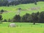 0 Tremain Road, Ruatangata West, Kamo - Carousel 28