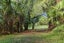 6388A South Road, Pungarehu, Opunake - Carousel 3