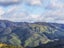 452 Southernthread Road, Brooklyn, Wellington - Carousel 16