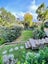 35 Drome View Place, Beach Haven, Auckland - Carousel 14