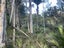 0 Horeke Road, Horeke, Okaihau - Carousel 13