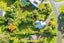 28 Laingfield Terrace, Laingholm, Auckland - Carousel 30