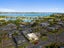 1/15 Normans Hill Road, Onehunga, Auckland - Carousel 16
