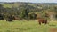 404 Tara Road, Mangawhai, Kaipara, Northland - Carousel 16
