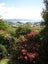 13 Nebraska Way, Brooklyn, Wellington - Carousel 4