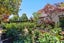 45 Rossall Street, Merivale, Christchurch - Carousel 31