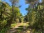1864 Takaka-Collingwood Highway, Milnthorpe, Golden Bay / Mohua - Carousel 13