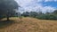 48 Fox Street, Opunake - Carousel 20
