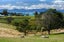 85 Rowling Loop, Lower Moutere - Carousel 9