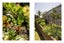 22A Winchester Terrace, Bethlehem, Tauranga - Carousel 16