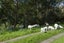 1646 Waimata Valley Road, Waimatā - Carousel 9