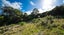 2677 Kaiuma Bay Road, Kaiuma Bay - Carousel 11