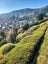 12 Hill Tops Way, Stoke, Nelson - Carousel 12