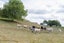 178B Pond Road, Matamata, Matamata - Carousel 26