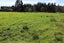 115 Gladstone Road, SEDDONVILLE, WESTPORT - Carousel 3