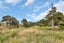 1754 Ararua Road, Matakohe - Carousel 11
