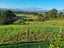 204A Cambridge Road, Bethlehem, Tauranga - Carousel 14