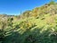 22D Simon Road, Raglan - Carousel 34