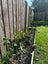 2/25 Kingsbridge Place, Newlands, Wellington - Carousel 24