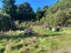 0 Taheke (Block Access) Road, Toatoa, Opotiki - Carousel 5