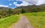 281 Waiotemarama Gorge Road, Opononi, Kaikohe - Carousel 26