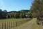 199 Waikupa Road, Okoia, Whanganui - Carousel 1